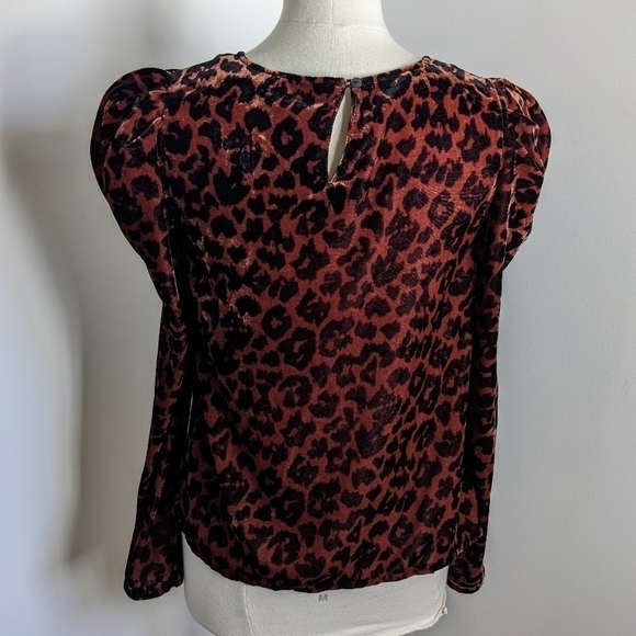 ANTHROPOLOGIE Dolan Copper Animal Print Velvet Puff Sleeve Top S - Picture 7 of 11
